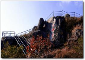 南安南安香草世界 (5)_南安香草世界