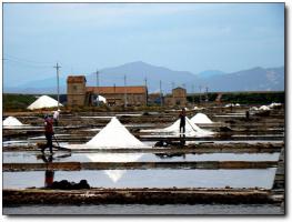 泉港山腰盐场 (2)_泉港泉港山腰盐场