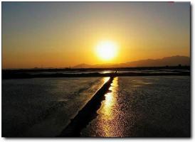 泉港山腰盐场 (4)_泉港泉港山腰盐场