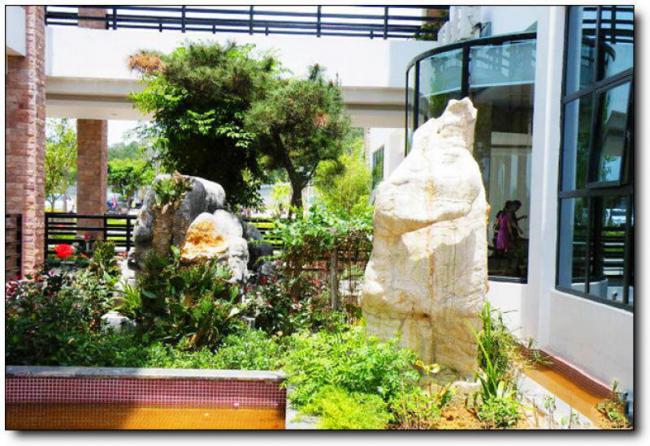 泉港红星生态园 (4)_泉港红星生态园