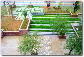 泉港红星生态园 (1)_泉港红星生态园