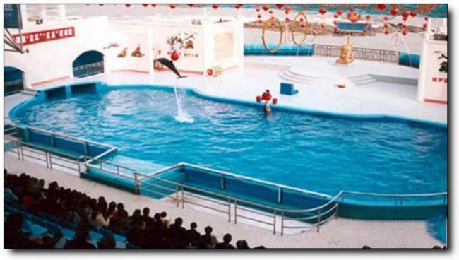 石狮海洋世界 (5)_石狮海洋世界