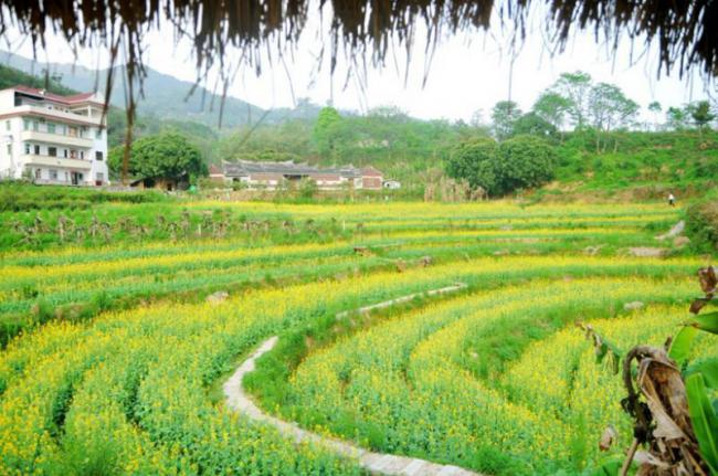 永春中国永春拳第一村 (3)_永春中国永春拳第一村