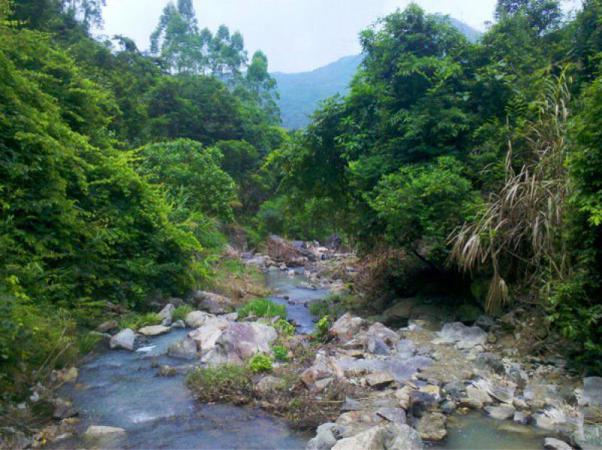 长泰九九溪 (5)_长泰九九溪