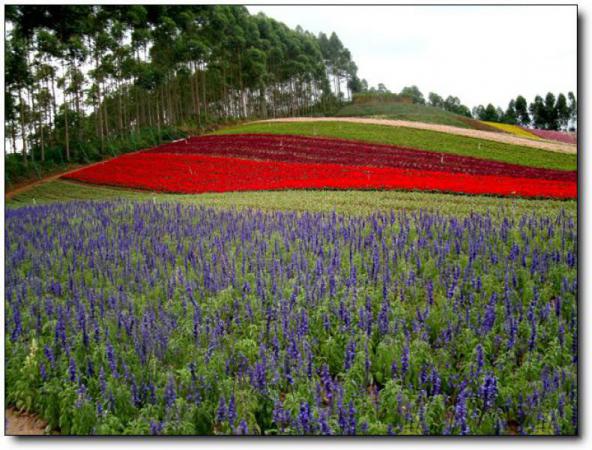 长泰十里蓝山 (1)_长泰十里蓝山