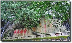 东山九仙山 (6)_东山九仙山