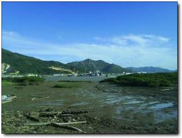 龙海海门岛 (4)_龙海海门岛