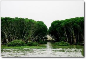 龙海海门岛 (1)_龙海海门岛