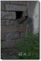 龙海晏海楼 (2)_龙海晏海楼