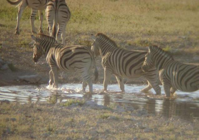 芗城漳州动物园 (5)_芗城漳州动物园