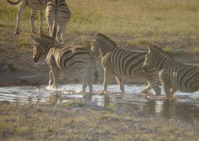芗城漳州动物园 (5)_芗城漳州动物园