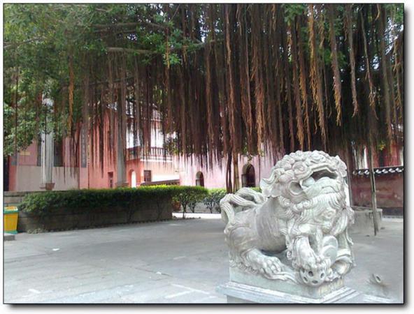 芗城南山寺 (3)_芗城南山寺