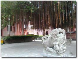 芗城南山寺 (3)_芗城南山寺