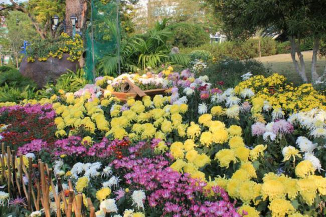 芗城漳州江滨公园 (4)_芗城漳州江滨公园