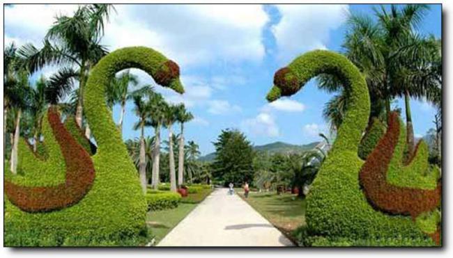 漳浦东南花都花博园 (5)_漳浦东南花都花博园