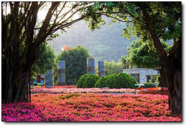 漳浦东南花都花博园 (2)_漳浦东南花都花博园