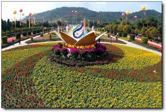 漳浦东南花都花博园 (3)_漳浦东南花都花博园