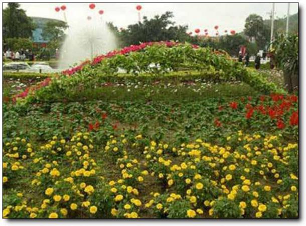 漳浦东南花都花博园 (4)_漳浦东南花都花博园