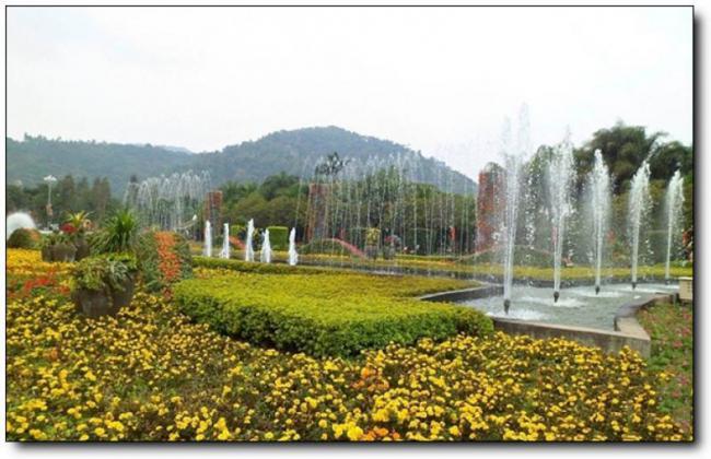 漳浦东南花都花博园 (1)_漳浦东南花都花博园