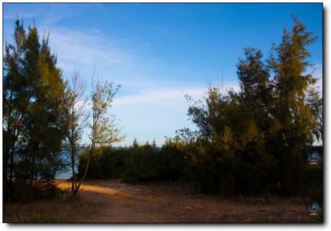 漳浦牛头山古火山口 (4)_漳浦牛头山古火山口