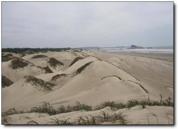 长乐大鹤海滨公园 (4)_长乐大鹤海滨公园