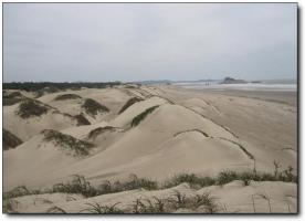 长乐大鹤海滨公园 (4)_长乐大鹤海滨公园