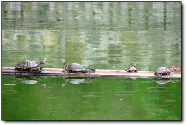 长乐晦翁岩 (3)_长乐晦翁岩