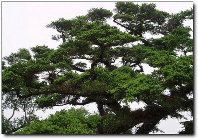 长乐晦翁岩 (6)_长乐晦翁岩