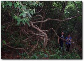 长乐晦翁岩 (5)_长乐晦翁岩