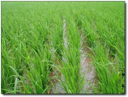 长乐晦翁岩 (2)_长乐晦翁岩