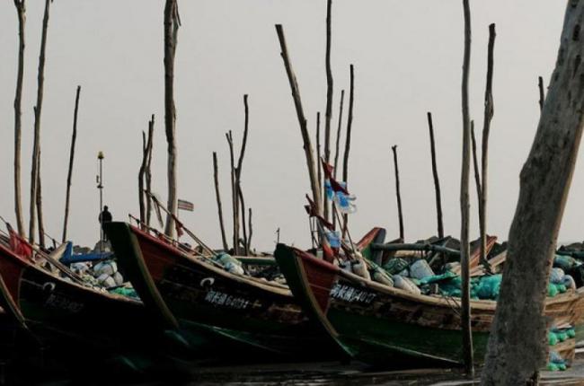 长乐漳港 (5)_长乐漳港