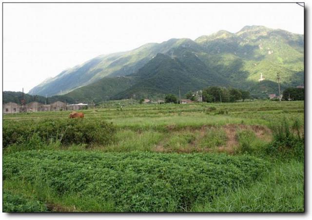 福清大化山 (5)_福清大化山