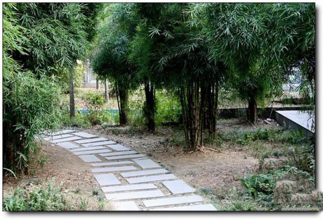 鼓楼白马河公园 (4)_鼓楼白马河公园