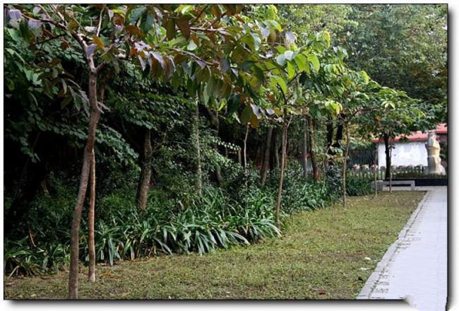 鼓楼白马河公园 (6)_鼓楼白马河公园