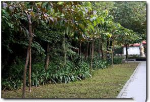 鼓楼白马河公园 (6)_鼓楼白马河公园