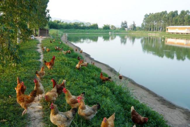 连江榕升休闲农庄 (1)_连江龙鼓旅游度假村