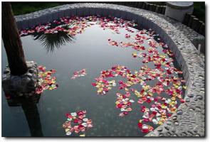 闽清大明谷温泉 (1)_闽清大明谷温泉