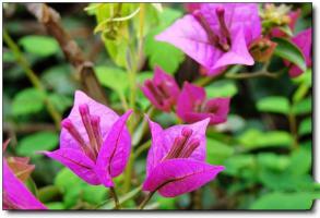 马尾莒溪景区 (1)_马尾莒溪景区