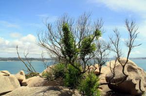 平潭将军山 (6)_平潭将军山