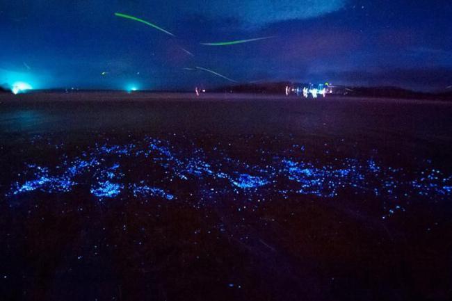 平潭坛南湾 (2)_平潭坛南湾