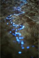 平潭坛南湾 (5)_平潭坛南湾