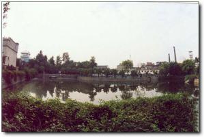 台江南公园 (2)_台江南公园