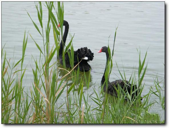 永泰桃花洲野战训练基地 (3)_永泰桃花洲野战训练基地
