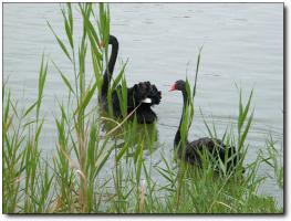 永泰桃花洲野战训练基地 (3)_永泰桃花洲野战训练基地