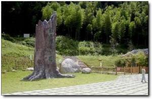 卧龙山 (5)_长汀卧龙山