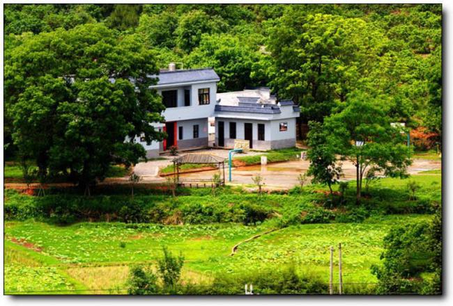 长汀杨梅山庄 (4)_长汀杨梅山庄