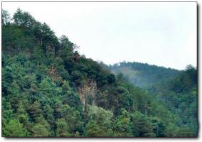 上杭朝斗岩 (2)_龙岩朝斗岩_上杭朝斗岩(福建龙岩)_朝斗岩