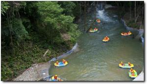 龙岩九溪庐原始森林公园怎么去 (2)_龙岩九溪庐原始森林公园怎么去