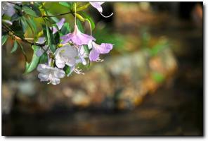 新罗玉宝村 (1)_新罗玉宝村