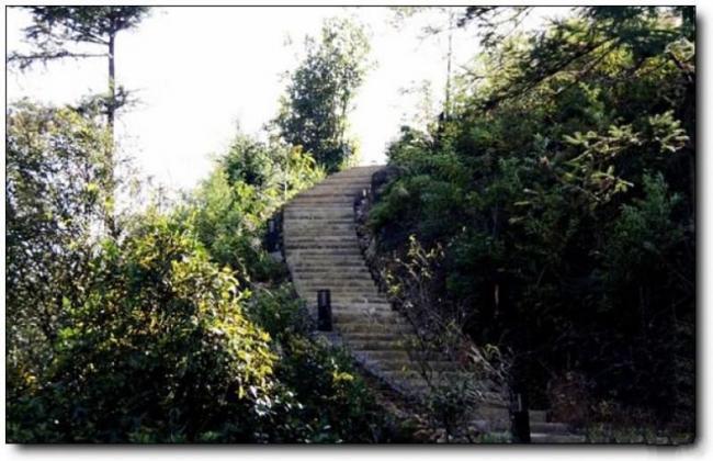 新罗香寮山庄 (4)_新罗香寮山庄